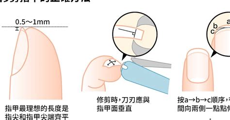 正常指甲長度|如何正確修剪指甲？日本專家：最好修剪成方形、每五。